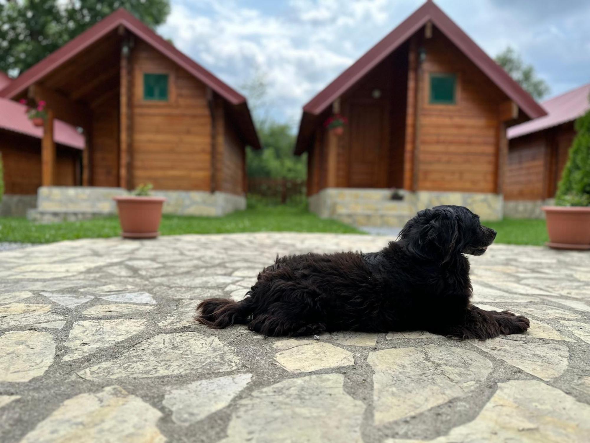 Tara Valley Eco Lounge Мойковац Екстер'єр фото